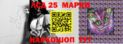 марки lsd Будённовск